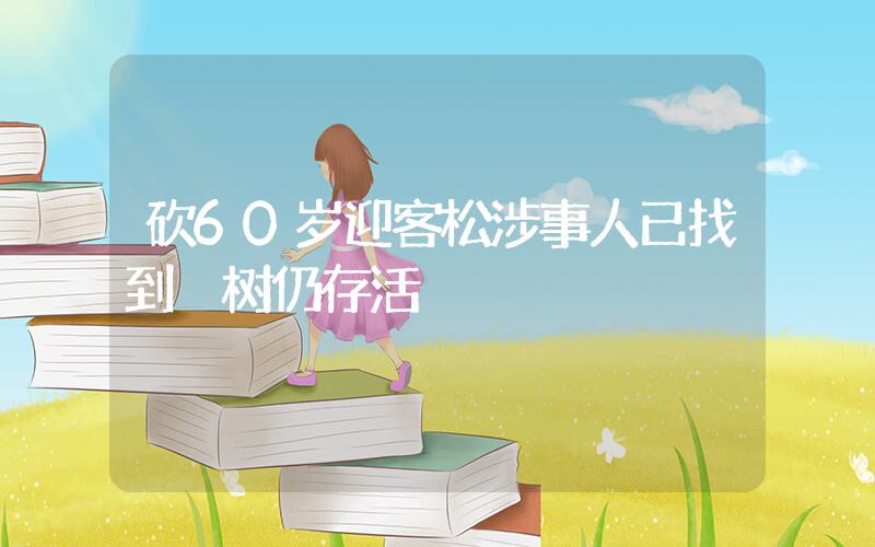 砍60岁迎客松涉事人已找到 树仍存活插图